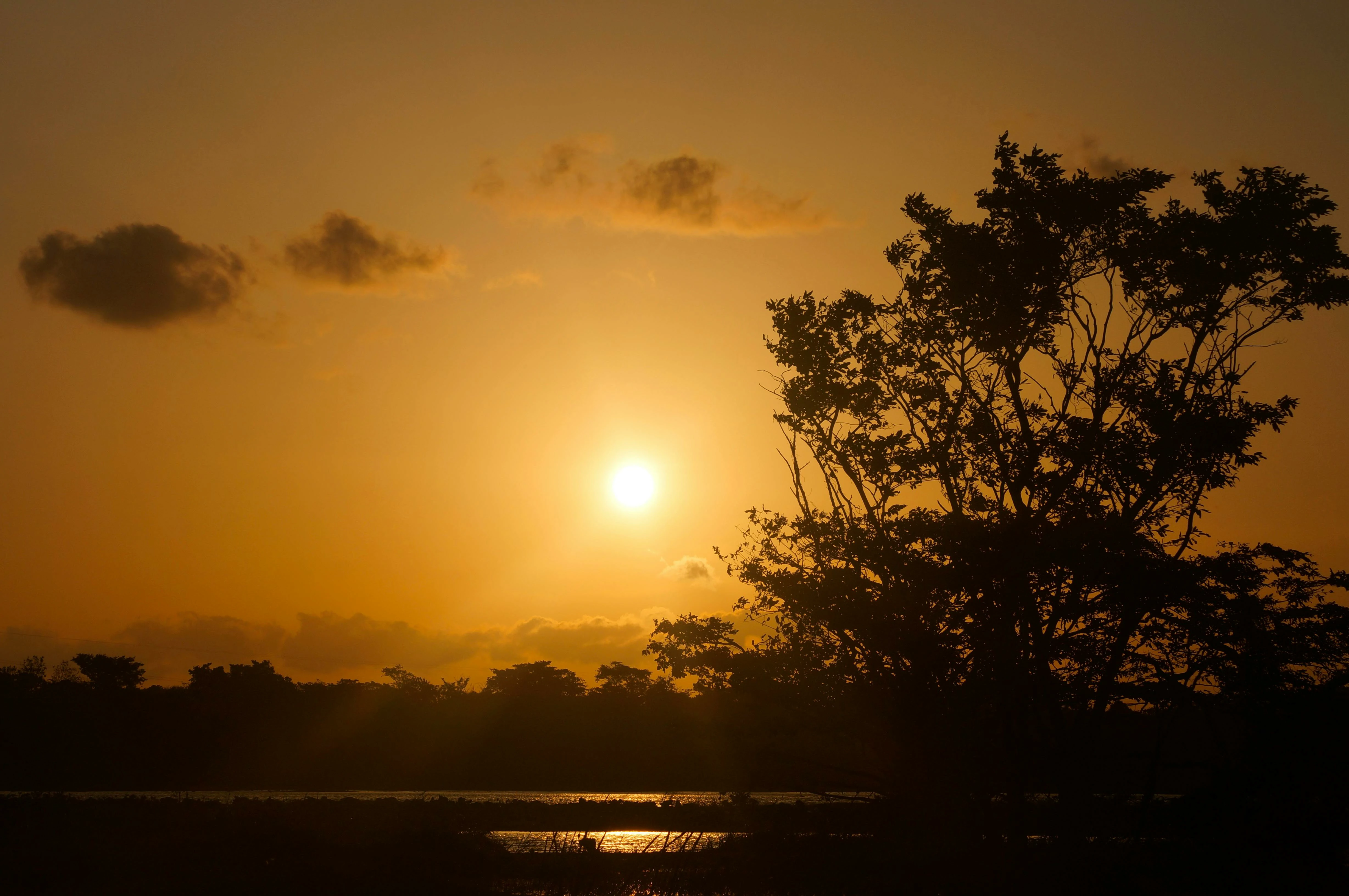 Full Day (11 Hours) Package