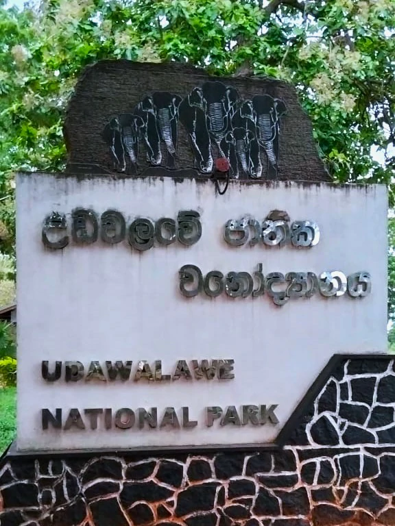 Stunning panoramic view of Udawalawa National Park reservoir