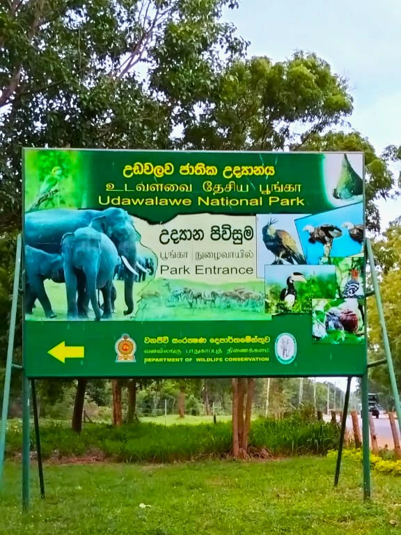 Scenic sunrise landscape over the Udawalawa forest by JasperWild